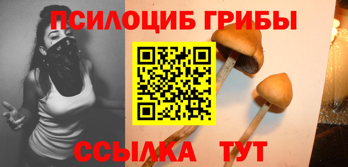 Галлюциногенные грибы мухоморы  Вход с VPN  наркотики  Псилоцибиновые грибы Psilocybe  Радужный 